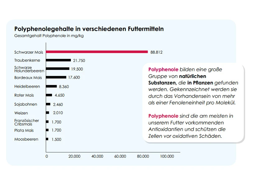 Versele Master R Exclusiv 20kg – Bild 3