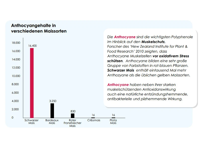 Versele Master R Exclusiv 20kg – Bild 4