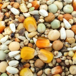 Gladen Zucht Ohne Weizen 25kg