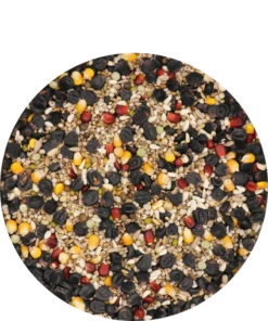 Versele Master Black 20kg