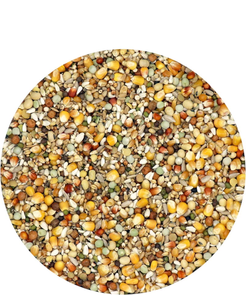 Versele Reise Active Life 25kg