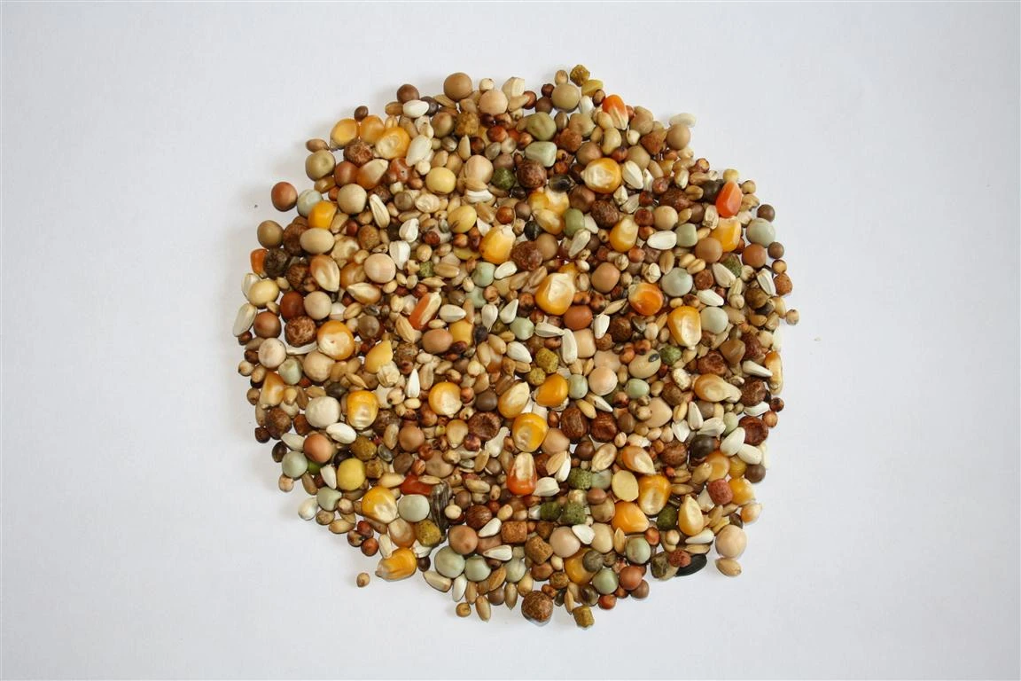 Versele Start Plus I.C.⁺ 20kg