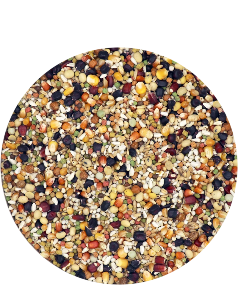 Versele Superstar Plus IC+ Black Label 20kg