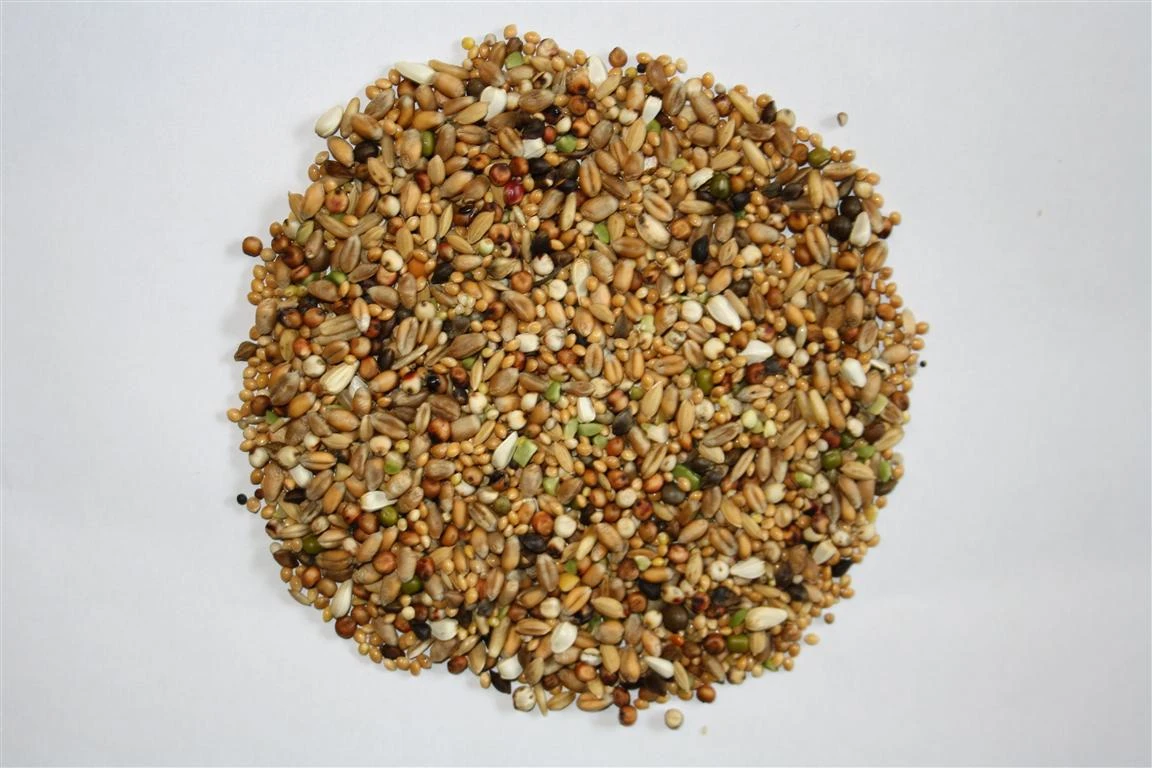 Versele Turteltaubenfutter Prestige 20kg – Bild 3