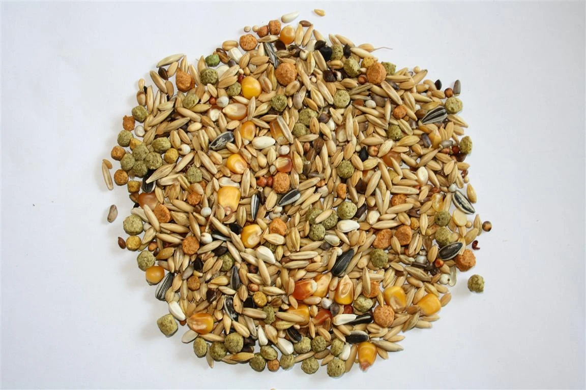 Versele Winter Plus I.C.⁺ 20kg