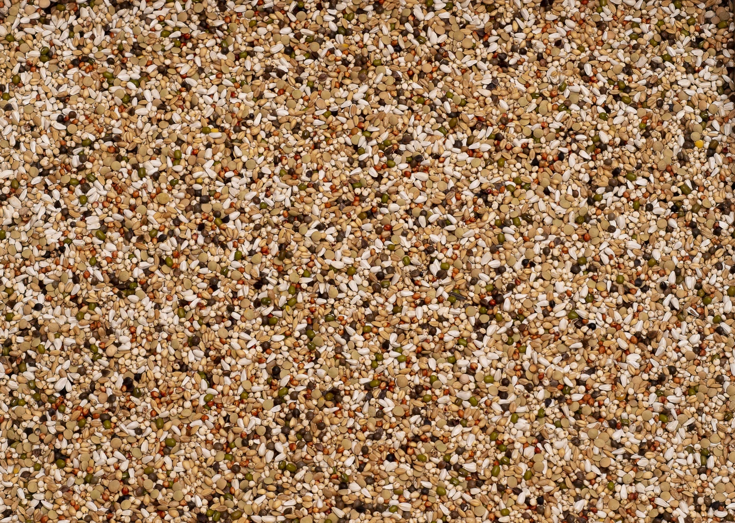 Beyers Wal Zoontjens Basis Gelb 25kg