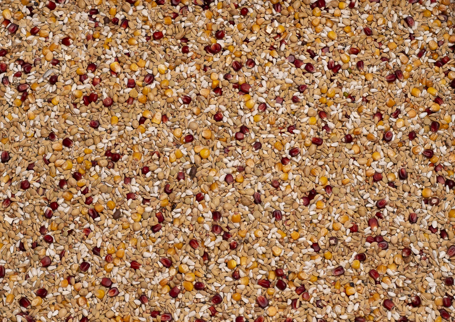 Beyers Premium Enzymix Relax 25Kg