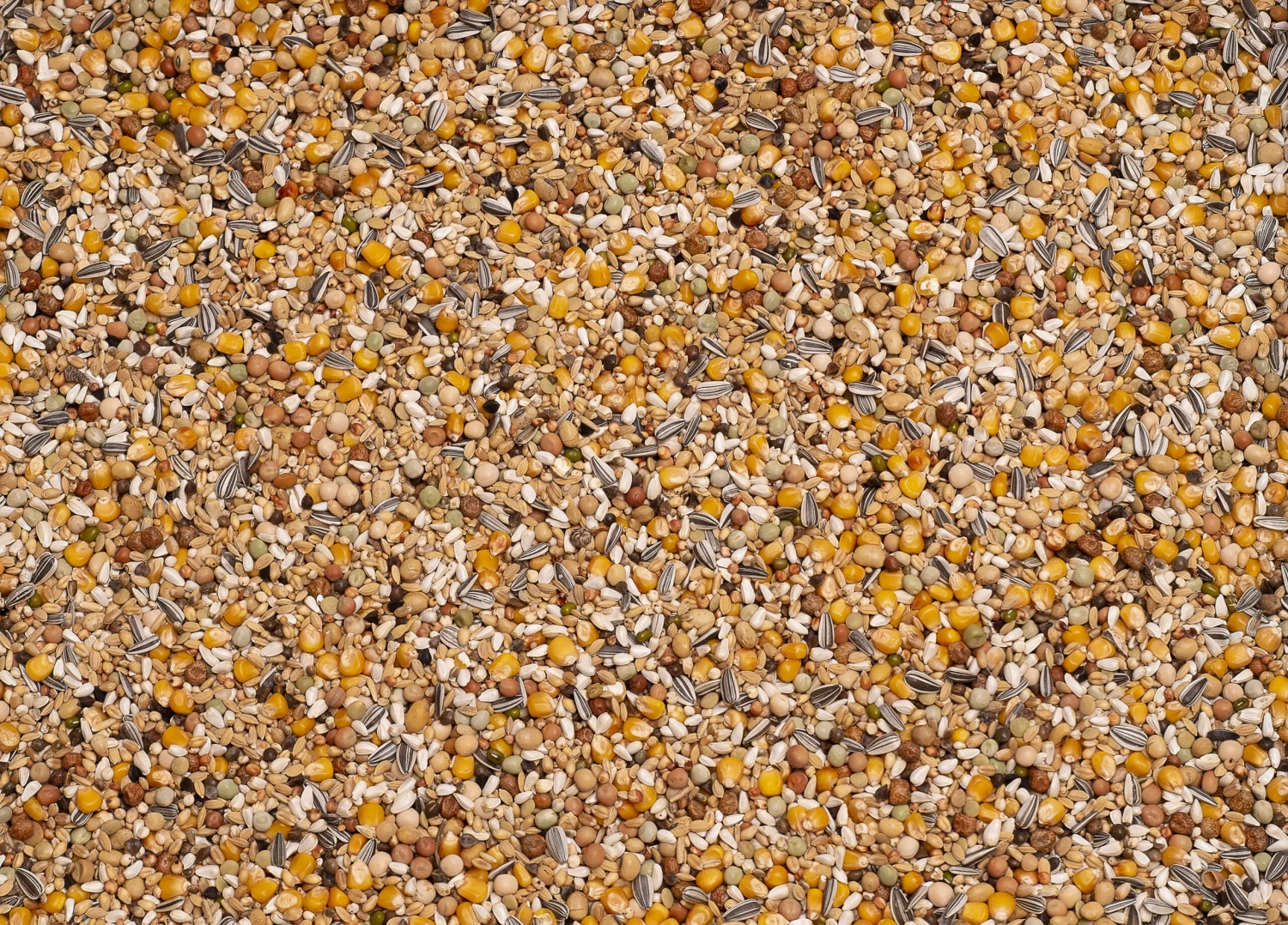 Beyers 6 Energy Soja Witwer Ost 25Kg