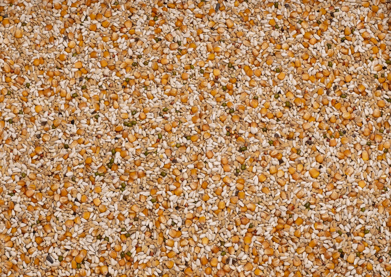 Beyers Premium Vandenabeele 20Kg